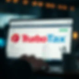 An analytical overview of TurboTax interface showcasing free version.