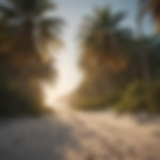 Tranquil Gulf Coast beach with coconut palm trees