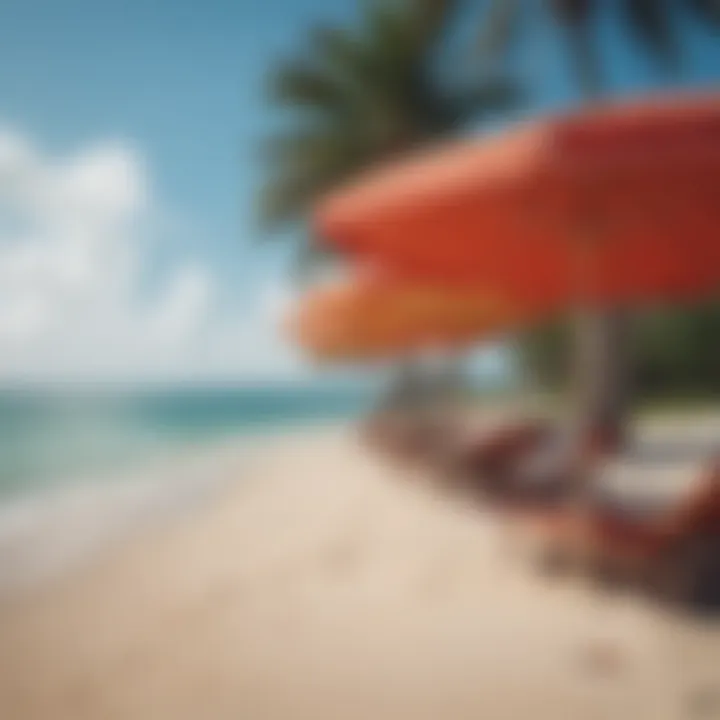 Colorful beach umbrellas on a serene Gulf Coast shoreline