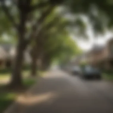 Dallas Neighborhood with Tree-lined Streets