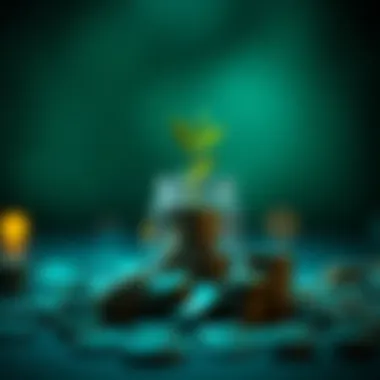 Illustration of strategies for maximizing savings