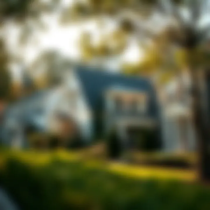 Benefits of Home Ownership A serene neighborhood illustrating the benefits of owning a home outright