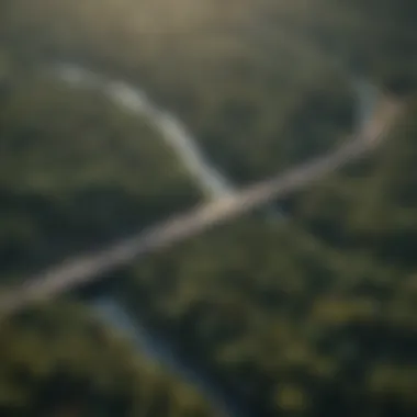 Aerial view of interconnected forests and urban development