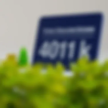 Federal Regulations Governing 401(k) Plans Visual representation of federal regulations related to 401(k) plans