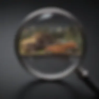 Illustration of a magnifying glass focusing on education expense deductions