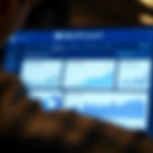 Visual representation of Merrill Lynch account dashboard