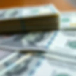 A visual guide to U.S. Treasury securities