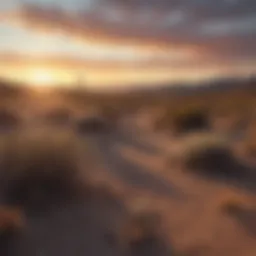 Nevada desert landscape at sunset