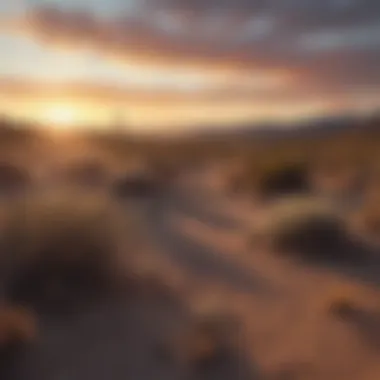 Nevada desert landscape at sunset