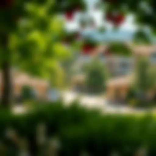 Scenic view of a peaceful retirement community with lush greenery and serene surroundings.