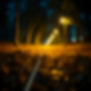 Visual representation of a credit score improvement journey