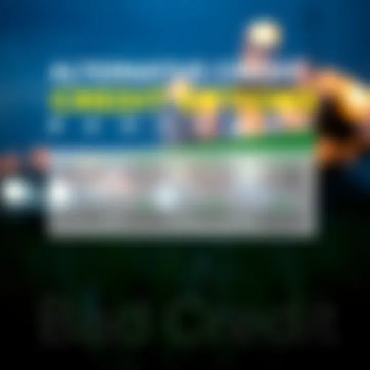 Alternative Credit Options An infographic detailing alternative credit options for individuals with bad credit