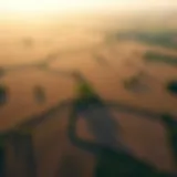 Investment Potential in Farmland Aerial view of flourishing farmland highlighting investment potential