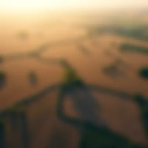 Investment Potential in Farmland Aerial view of flourishing farmland highlighting investment potential
