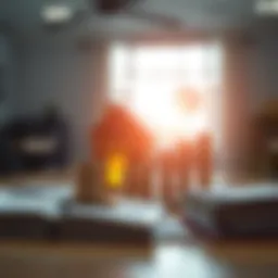 Conceptual representation of immediate annuities