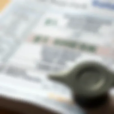 A close-up of a bank statement with stimulus check deposit