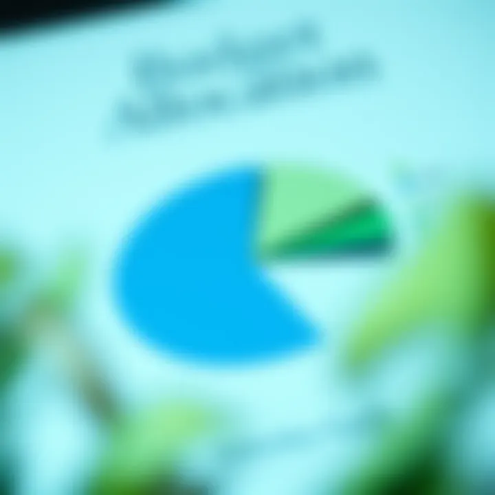 A pie chart showing budget allocation for stimulus funds