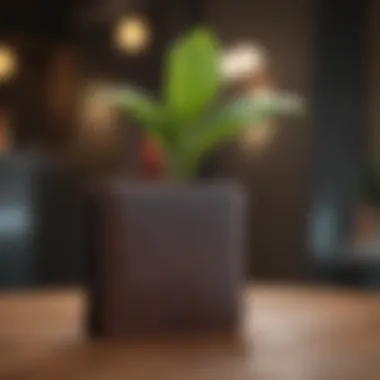 Financial Growth Strategies Wallet with Growing Plant