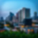Texas skyline showcasing urban development
